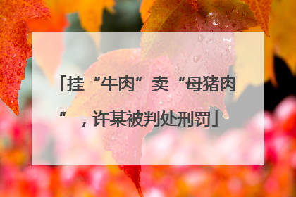 挂“牛肉”卖“母猪肉”，许某被判处刑罚
