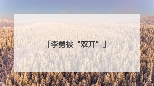 李勇被“双开”