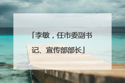 李敏，任市委副书记、宣传部部长