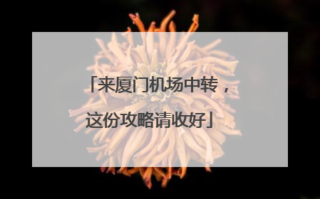 来厦门机场中转，这份攻略请收好