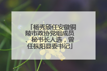 杨秀颀任安徽铜陵市政协党组成员、秘书长人选，曾任枞阳县委书记