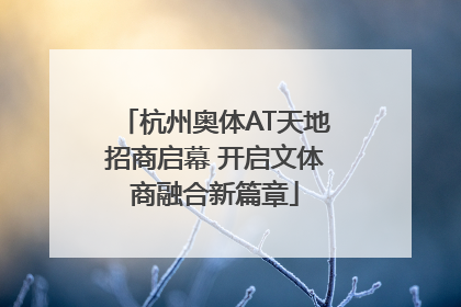 杭州奥体AT天地招商启幕 开启文体商融合新篇章