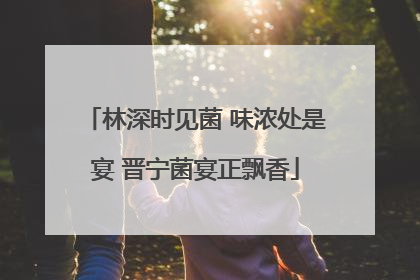 林深时见菌 味浓处是宴 晋宁菌宴正飘香