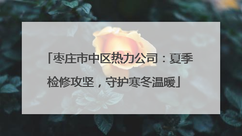 枣庄市中区热力公司：夏季检修攻坚，守护寒冬温暖