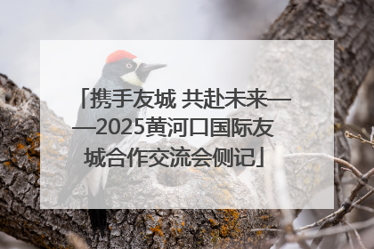 携手友城 共赴未来——2025黄河口国际友城合作交流会侧记