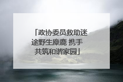政协委员救助迷途野生麋鹿 携手共筑和谐家园