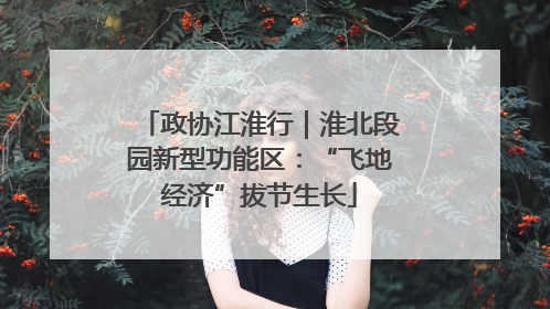 政协江淮行｜淮北段园新型功能区：“飞地经济”拔节生长