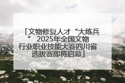 文物修复人才“大练兵” 2025年全国文物行业职业技能大赛四川省选拔赛即将启幕