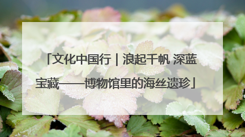 文化中国行｜浪起千帆 深蓝宝藏——博物馆里的海丝遗珍