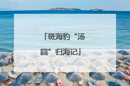 斑海豹“汤圆”归海记