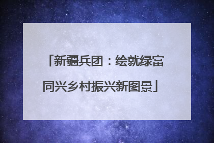 新疆兵团：绘就绿富同兴乡村振兴新图景