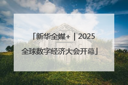新华全媒+｜2025全球数字经济大会开幕