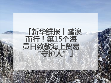 新华鲜报丨踏浪而行！第15个海员日致敬海上贸易“守护人”