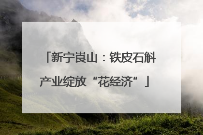 新宁崀山：铁皮石斛产业绽放“花经济”