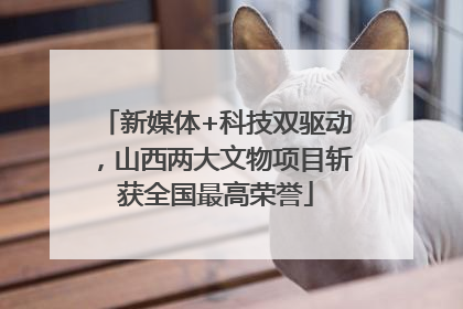 新媒体+科技双驱动，山西两大文物项目斩获全国最高荣誉