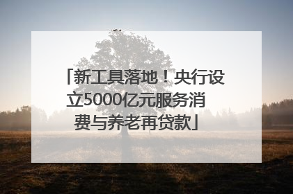 新工具落地！央行设立5000亿元服务消费与养老再贷款