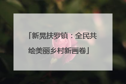 新晃扶罗镇：全民共绘美丽乡村新画卷