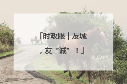 时政眼｜友城，友“诚”！