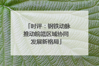 时评：钢铁动脉推动皖赣区域协同发展新格局