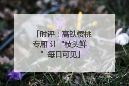 时评：高铁樱桃专厢 让“枝头鲜”每日可见