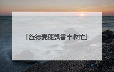 旌德麦穗飘香丰收忙