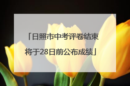 日照市中考评卷结束 将于28日前公布成绩