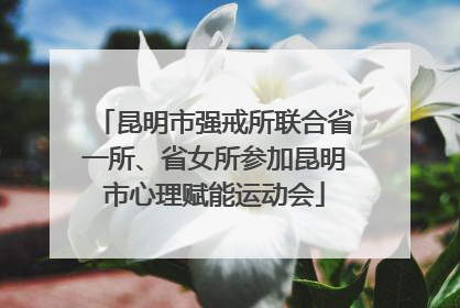 昆明市强戒所联合省一所、省女所参加昆明市心理赋能运动会