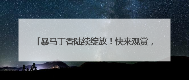 暴马丁香陆续绽放！快来观赏，冰城最美丁香季“终极大招”