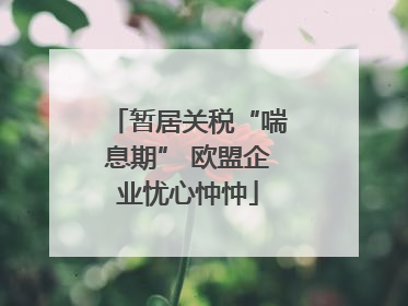 暂居关税“喘息期” 欧盟企业忧心忡忡