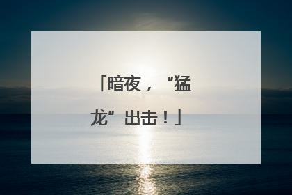 暗夜，“猛龙”出击！
