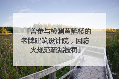 曾参与检测黄鹤楼的老牌建筑设计院，因防火规范疏漏被罚
