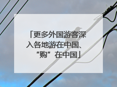 更多外国游客深入各地游在中国、“购”在中国