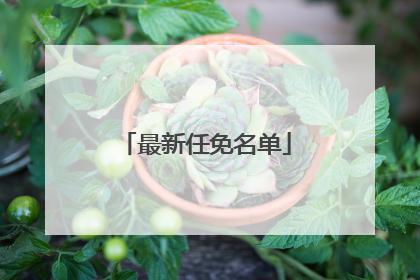 最新任免名单