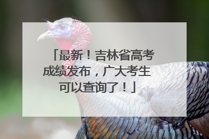 最新！吉林省高考成绩发布，广大考生可以查询了！