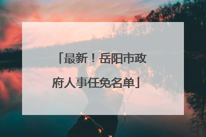 最新！岳阳市政府人事任免名单