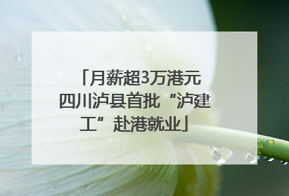 月薪超3万港元 四川泸县首批“泸建工”赴港就业