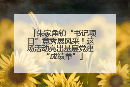 朱家角镇“书记项目”竞秀展风采！这场活动亮出基层党建“成绩单”