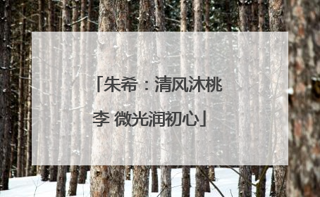 朱希：清风沐桃李 微光润初心