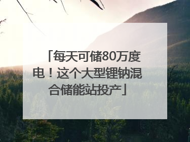每天可储80万度电！这个大型锂钠混合储能站投产