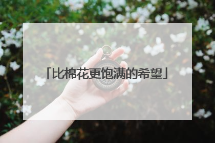 比棉花更饱满的希望