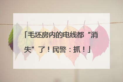 毛坯房内的电线都“消失”了！民警：抓！