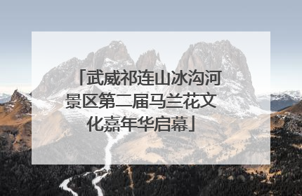 武威祁连山冰沟河景区第二届马兰花文化嘉年华启幕