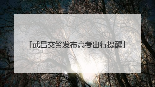 武昌交警发布高考出行提醒