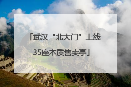 武汉“北大门”上线35座木质售卖亭