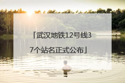 武汉地铁12号线37个站名正式公布