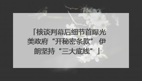 核谈判幕后细节首曝光 美政府“开秘密条款” 伊朗坚持“三大底线”