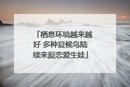 栖息环境越来越好 多种夏候鸟陆续来厦恋爱生娃