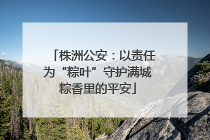 株洲公安：以责任为“粽叶”守护满城粽香里的平安