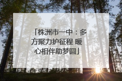株洲市一中：多方聚力护征程 暖心相伴助梦圆