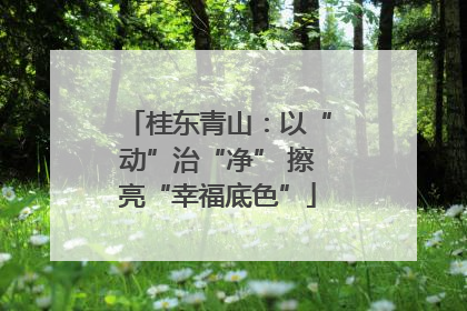 桂东青山：以“动”治“净” 擦亮“幸福底色”